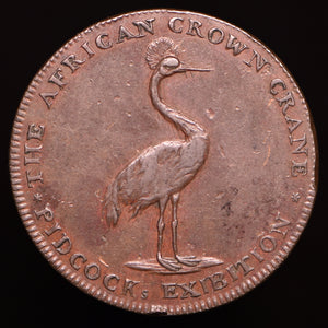 Middlesex D&H 451 Pidcock's