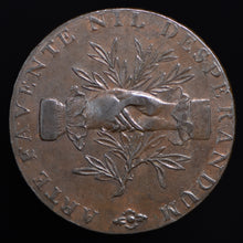 Load image into Gallery viewer, Staffordshire D&amp;H 10 Leek